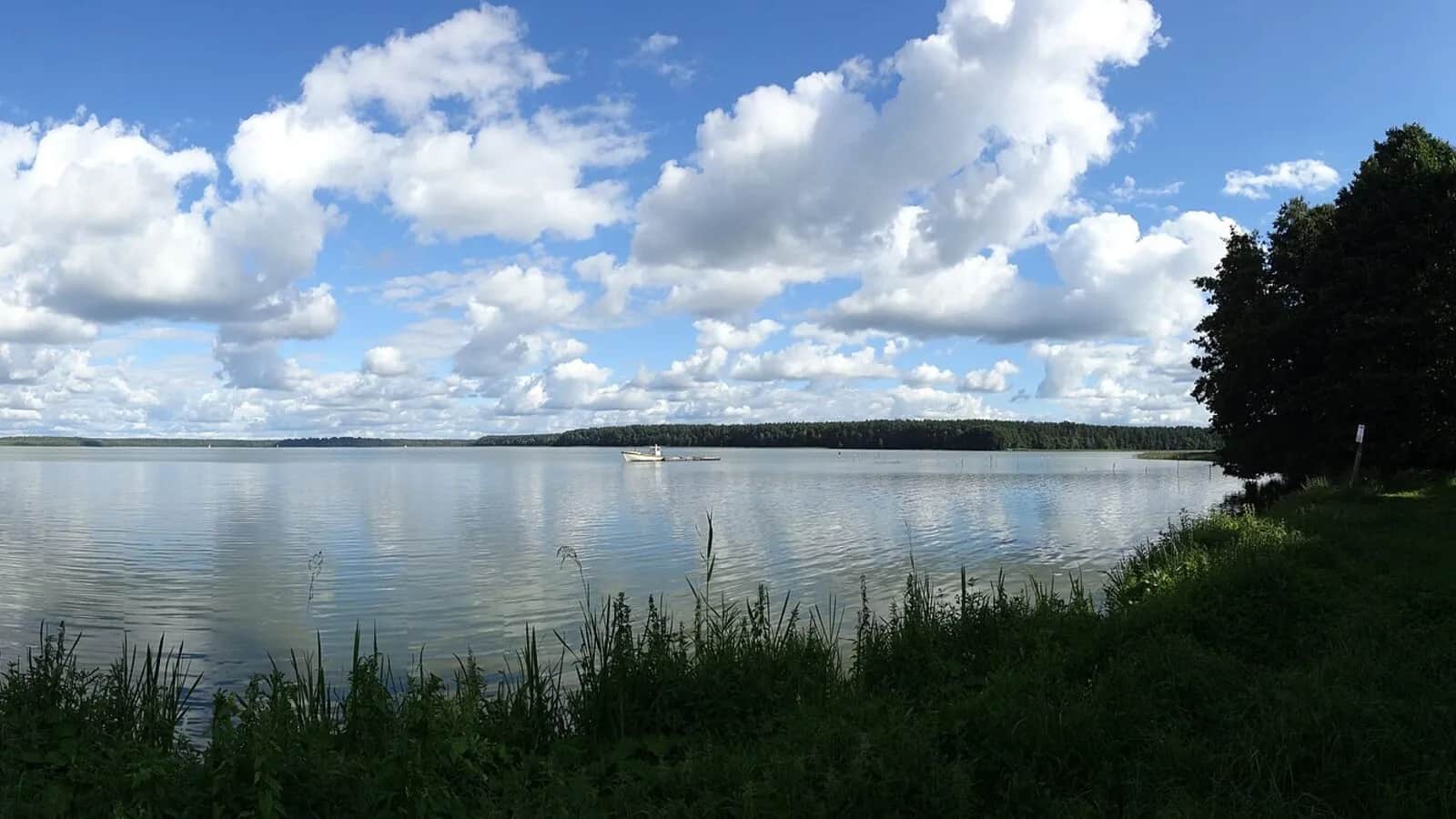 20 tysięcy grzywny za zasypane trzcinowisko. Czyj jest brzeg mazurskiego jeziora