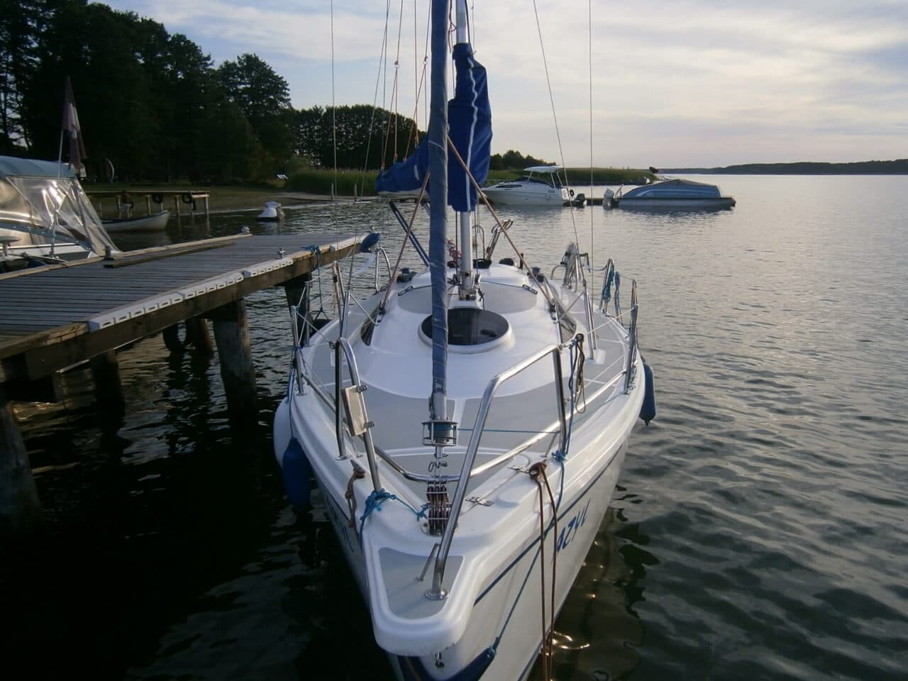 Sasanka Viva 700 — zdjęcie 2