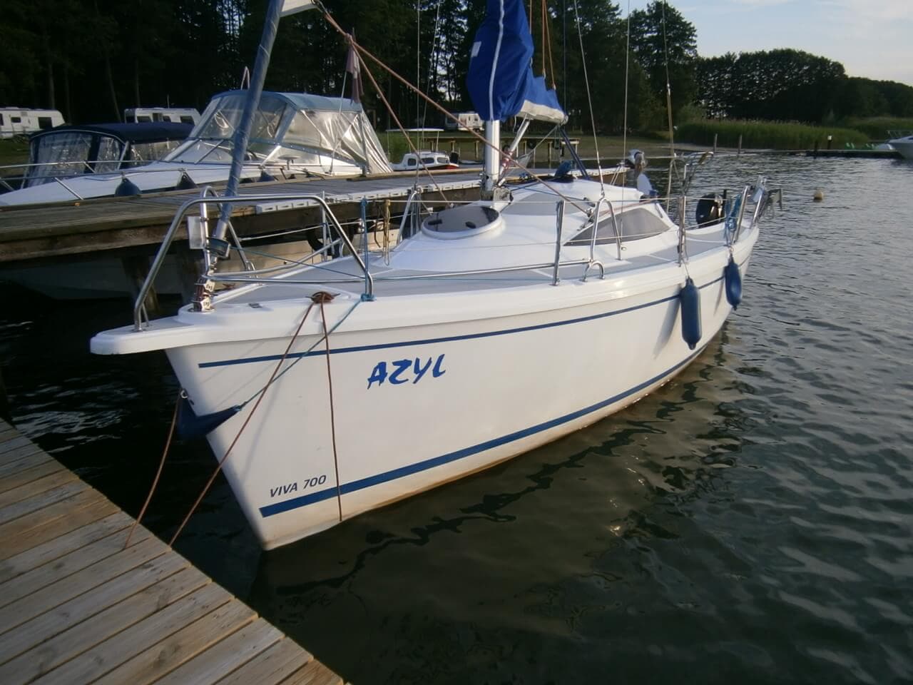 Sasanka Viva 700 — zdjęcie 3
