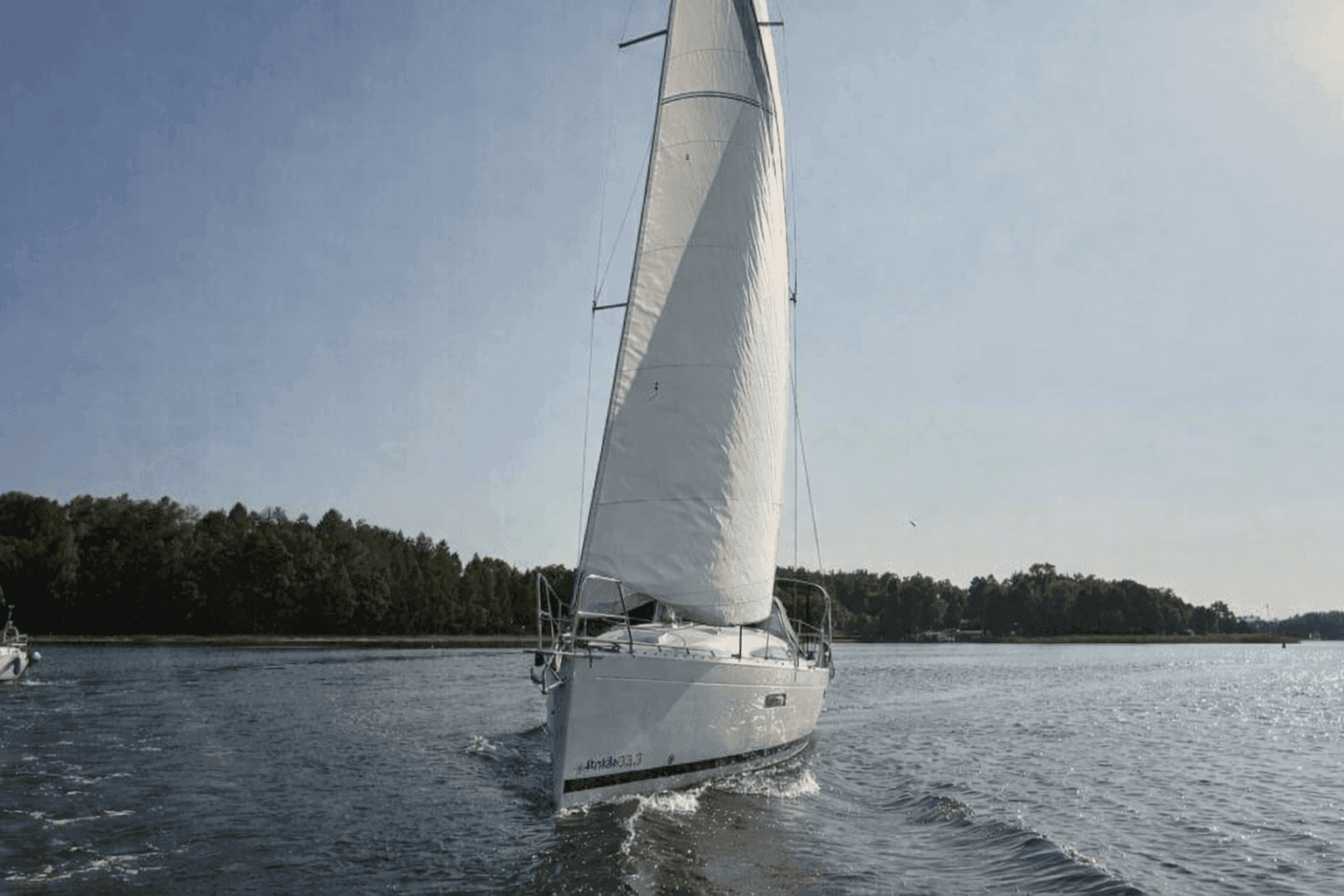 Antila 33.3 — zdjęcie 2