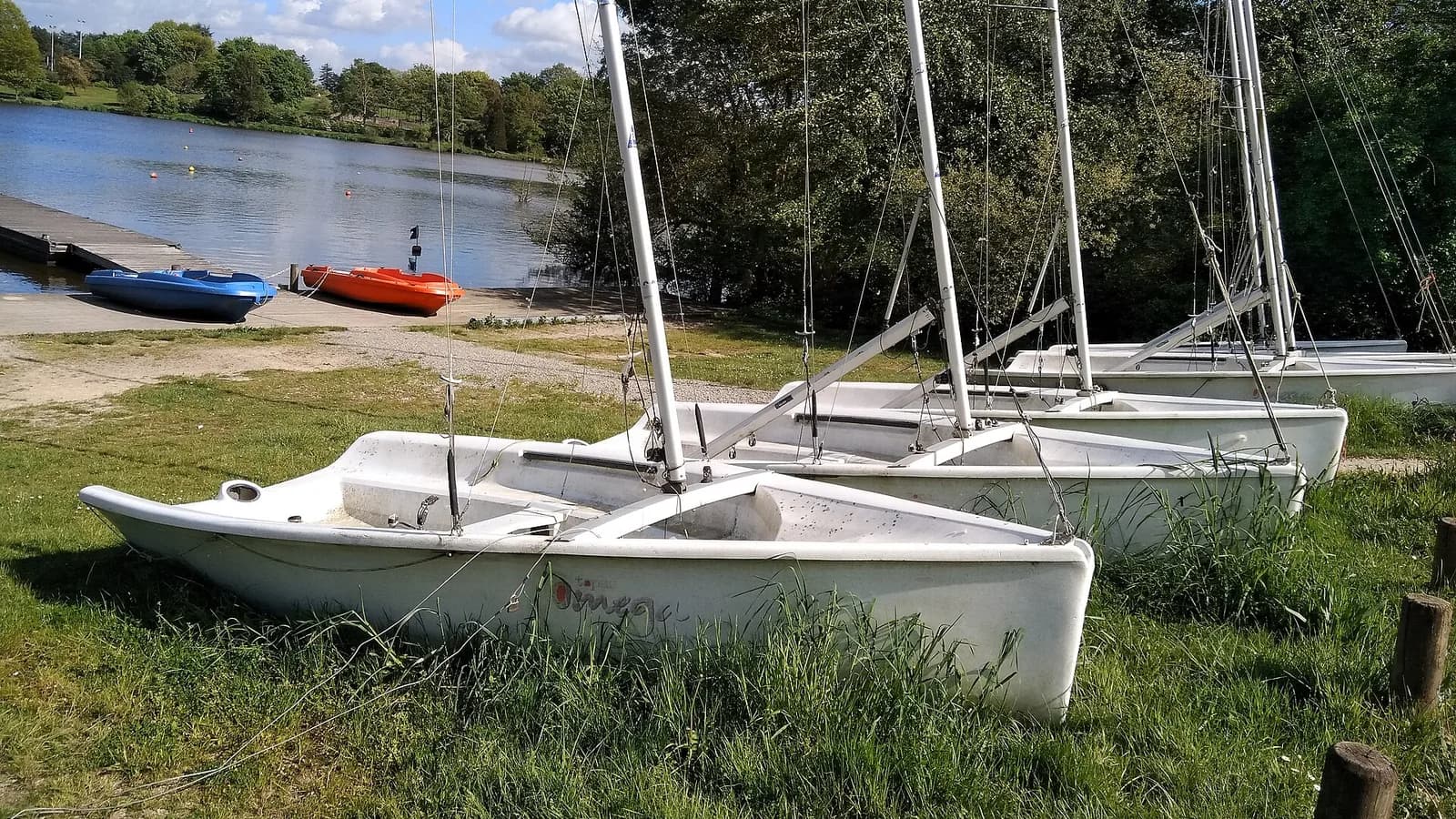 Do you need a licence to be a sailor?