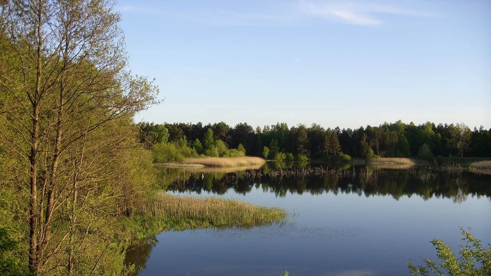 Węgorzewo: porty i mariny na północnym krańcu Mazur