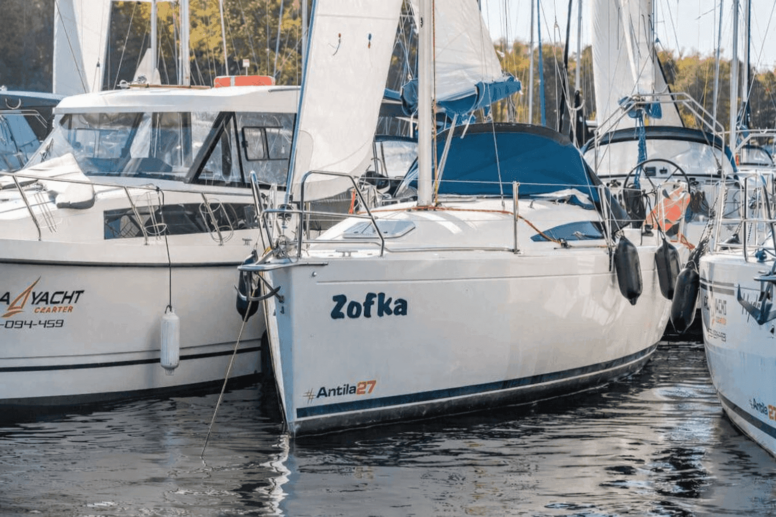 Antila 27 — zdjęcie 2