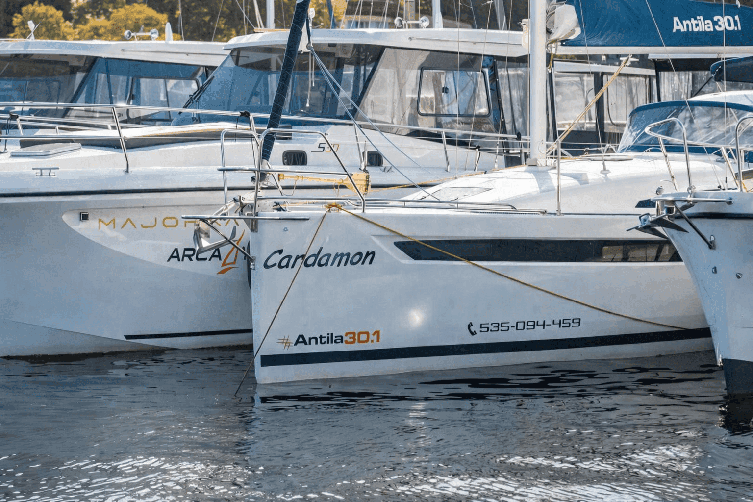 Antila 30.1 Cardamon 2022 — zdjęcie 1