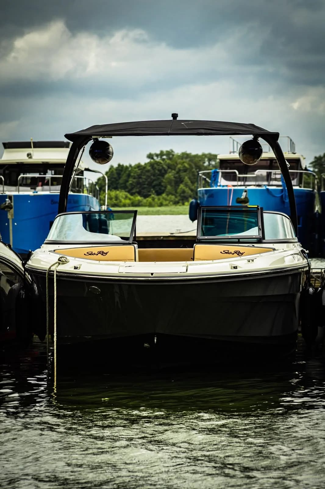 Sea Ray 210 — zdjęcie 3