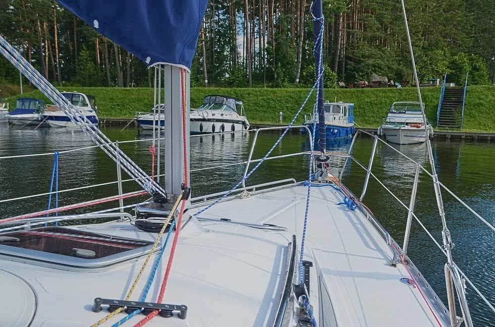 Tango 30 (rok 2020) Nr oferty 55697 — zdjęcie 4